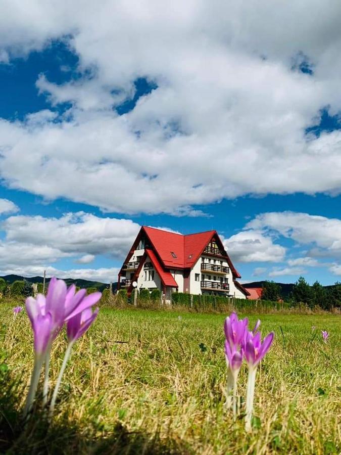 Pensiunea Perla Neamtului Minastirea Neamt Buitenkant foto